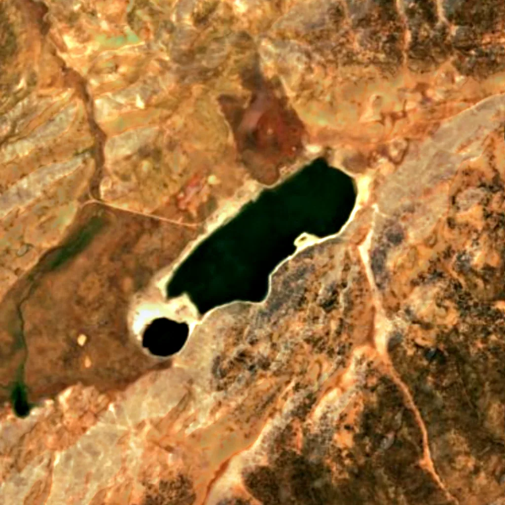 Aguelmame Sidi Ali lake seen from above (Sentinel-2)