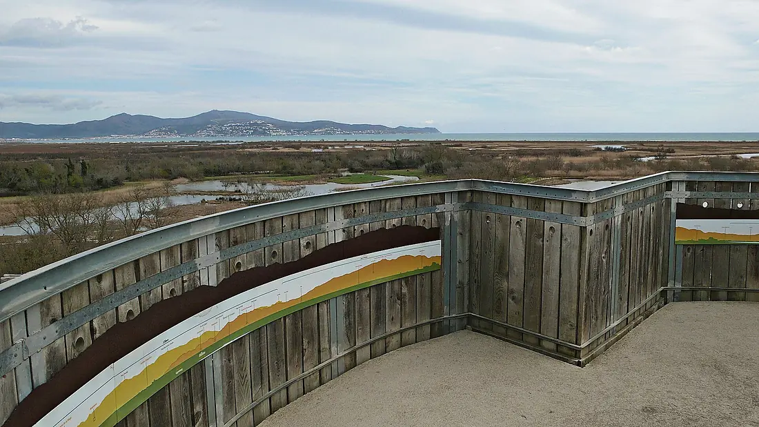 Aiguamolls de l'emporda-2013