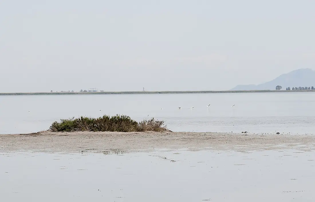 Akyatan Lagoon 03