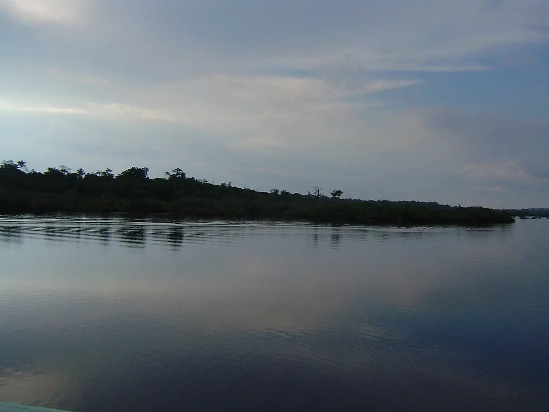 ANAVILHANAS RIO NEGRO - panoramio (1)