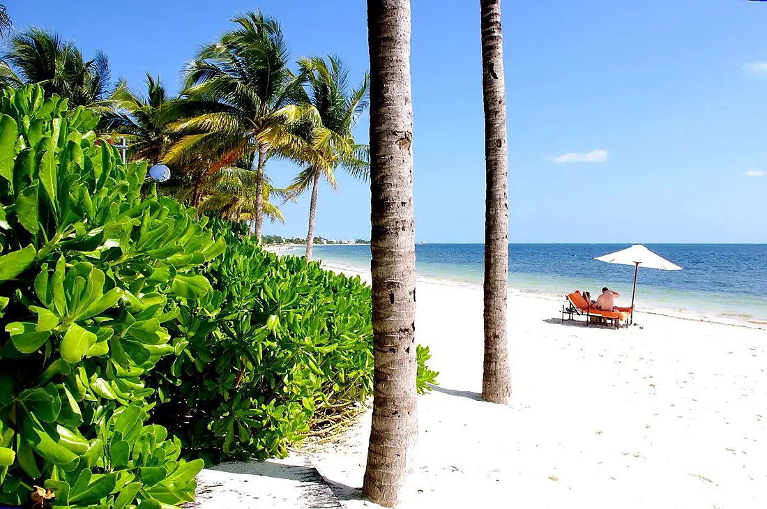 Near Puerto Morelos - panoramio
