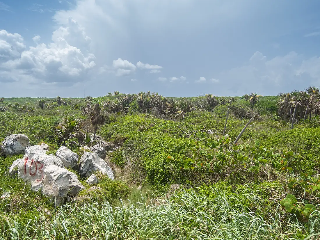 Punta sur Cozumel Mexico (21202009970)