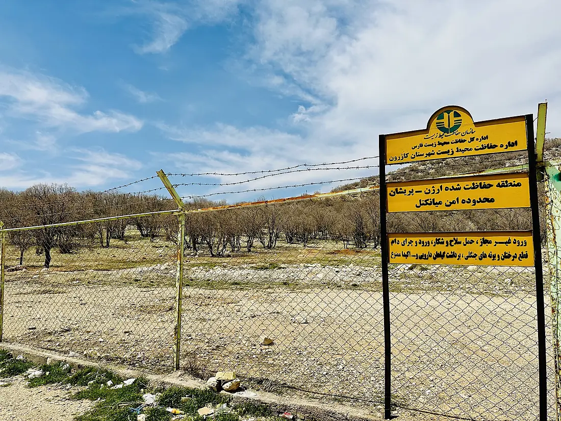Dashte Barm Forest 7