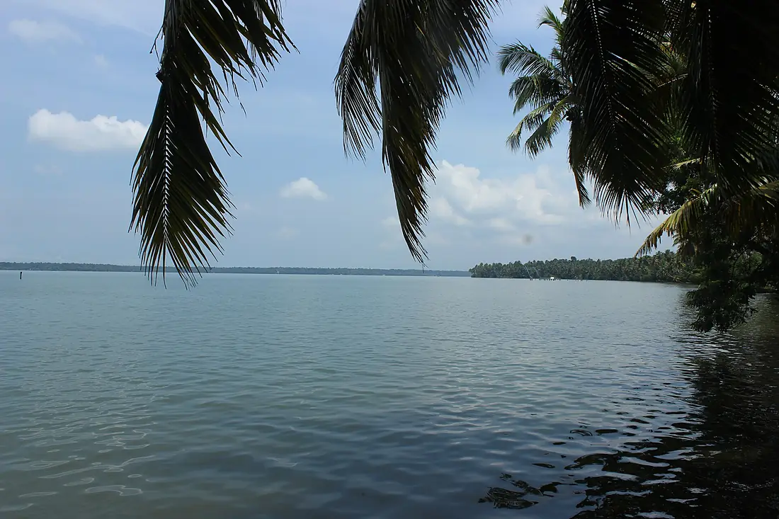 Astamudi Lake Kerala