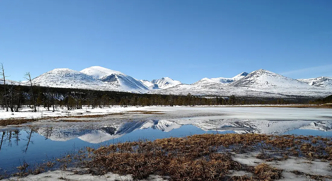 Rondane Atnsjømyrene Innlandet Norway (2009.04.14)