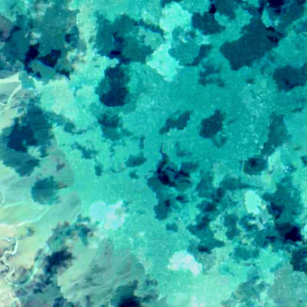 Bahía Lomas seen from above (Sentinel-2)