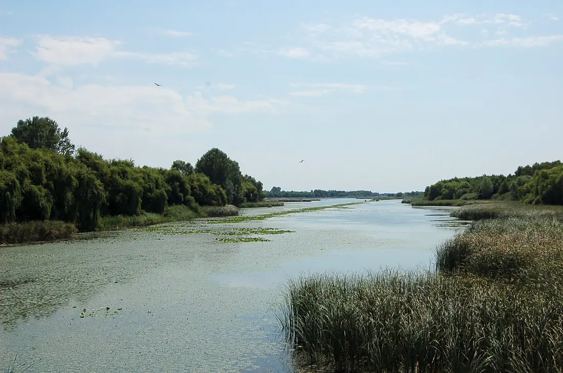 Kis-Balaton1