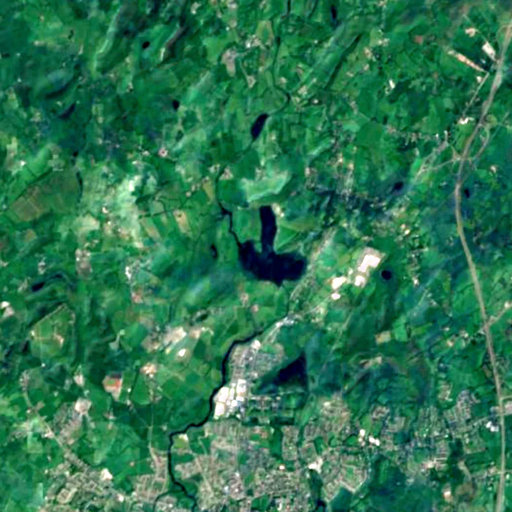 Ballyallia Lake seen from above (Sentinel-2)