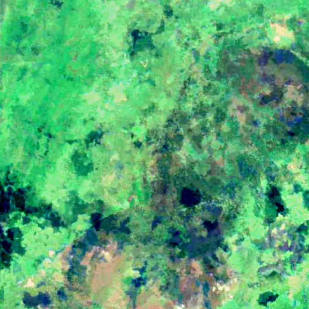 Beaverhill Lake seen from above (Sentinel-2)