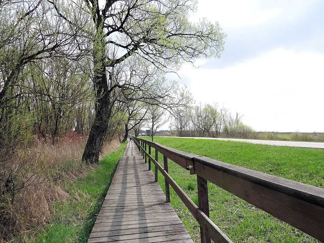 160416 - Trail in the Biebrza National Park - 02