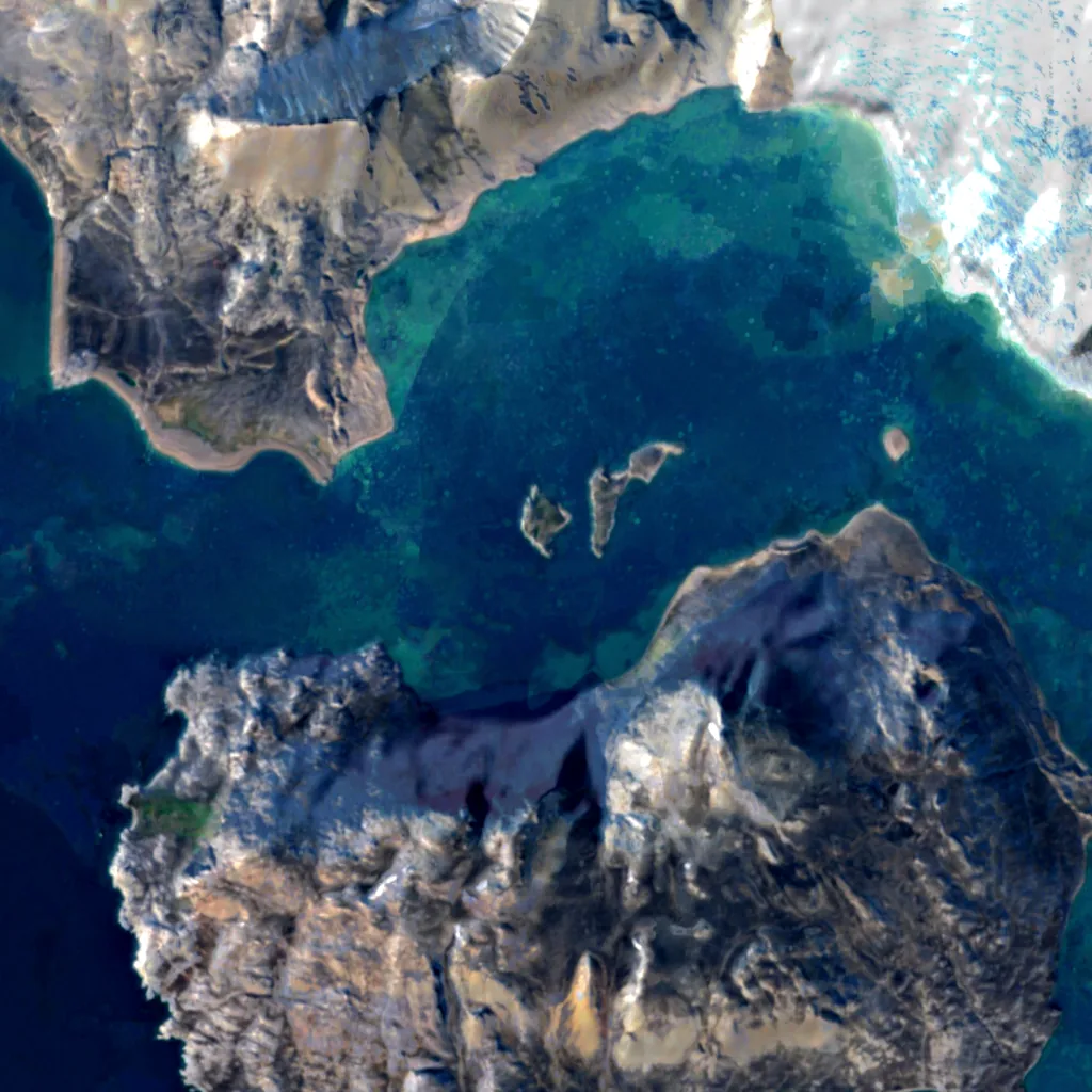 Blomstrandhamna Bird Sanctuary seen from above (Sentinel-2)