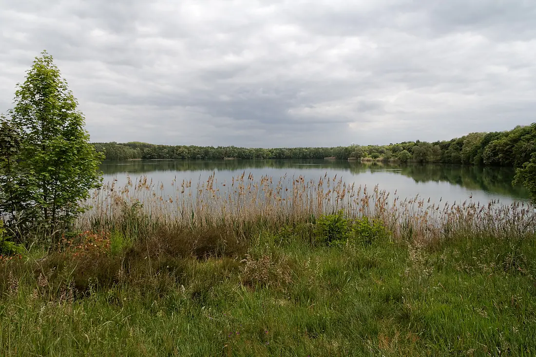 Bongsche Kiesgrube 3