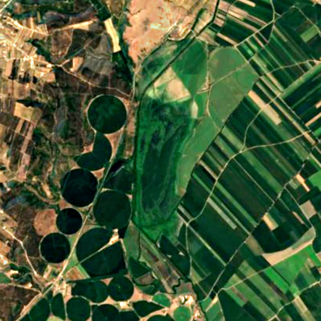 Boquilobo Bog Natural Reserve seen from above (Sentinel-2)