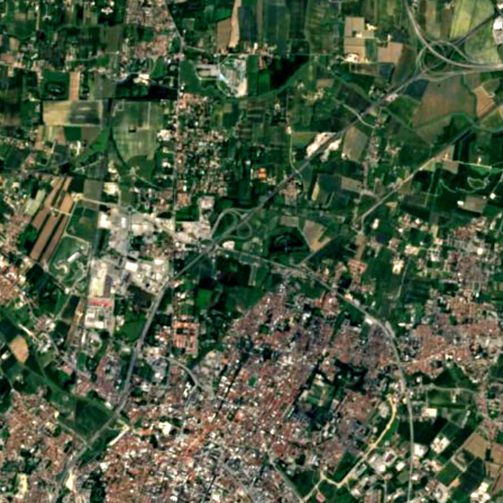 Bosco di Carpenedo seen from above (Sentinel-2)