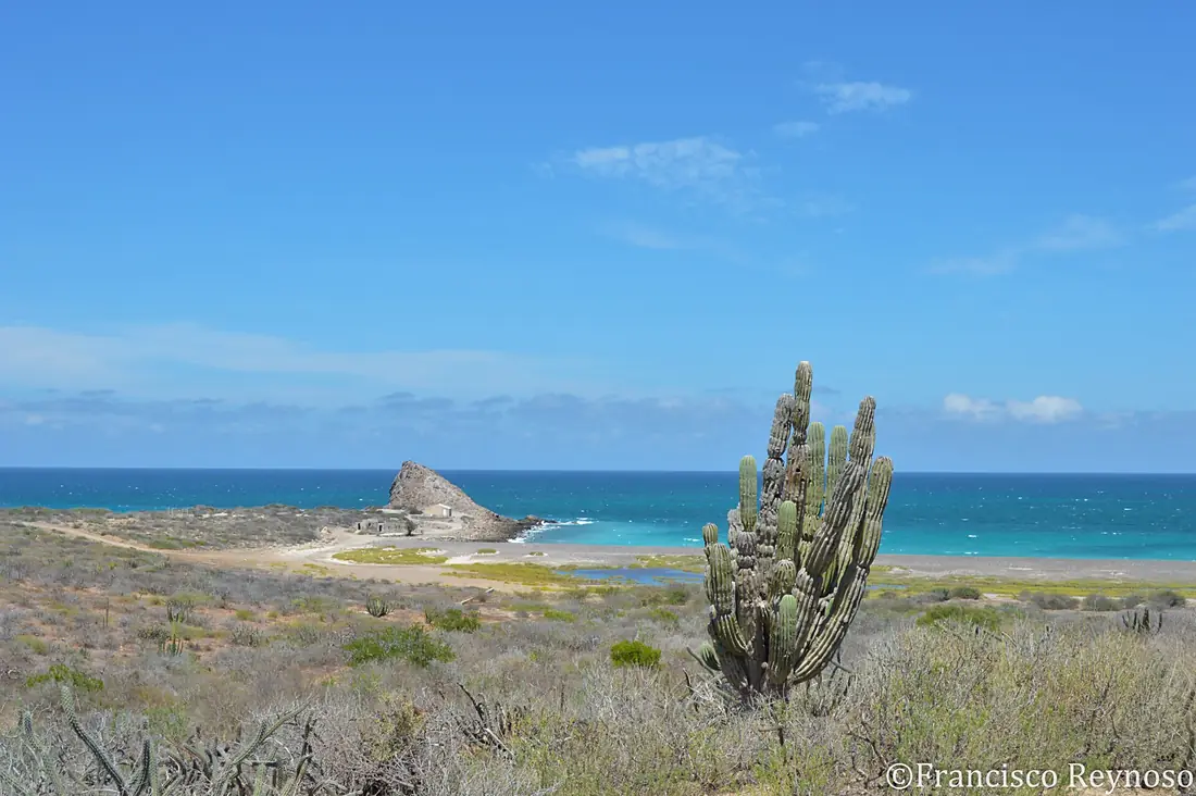 Antes de llegar a Cabo Pulmo - panoramio