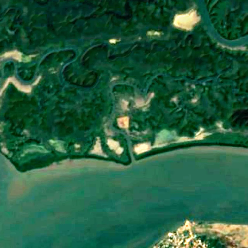 Cacheu Mangroves Natural Park seen from above (Sentinel-2)