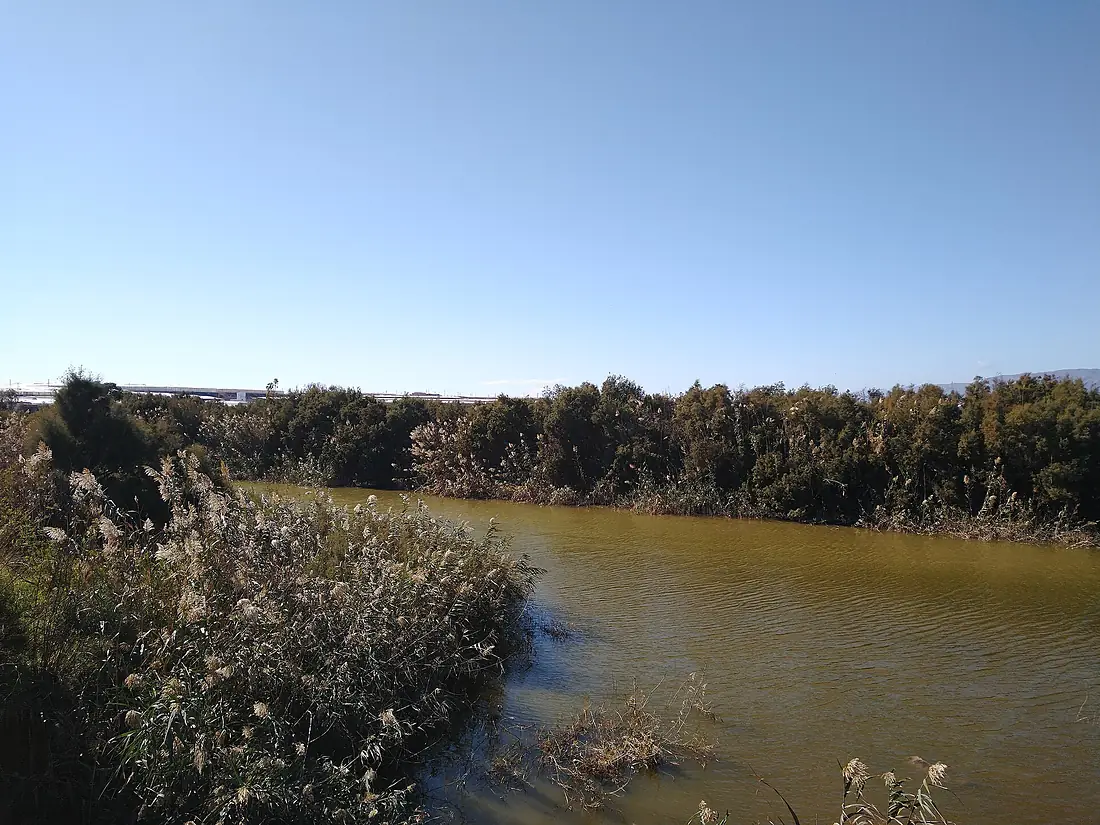 Visita a la Cañada de las Norias, El Ejido, Almería 20201107 001