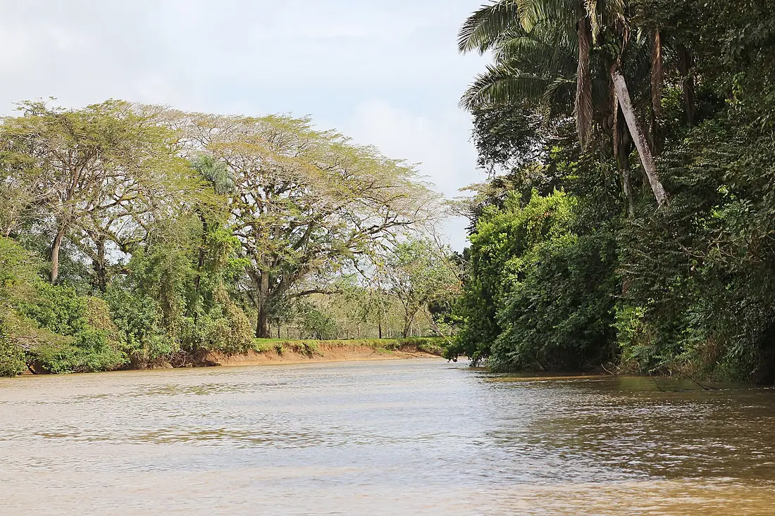 Caño Negro Wildlife Refuge 03