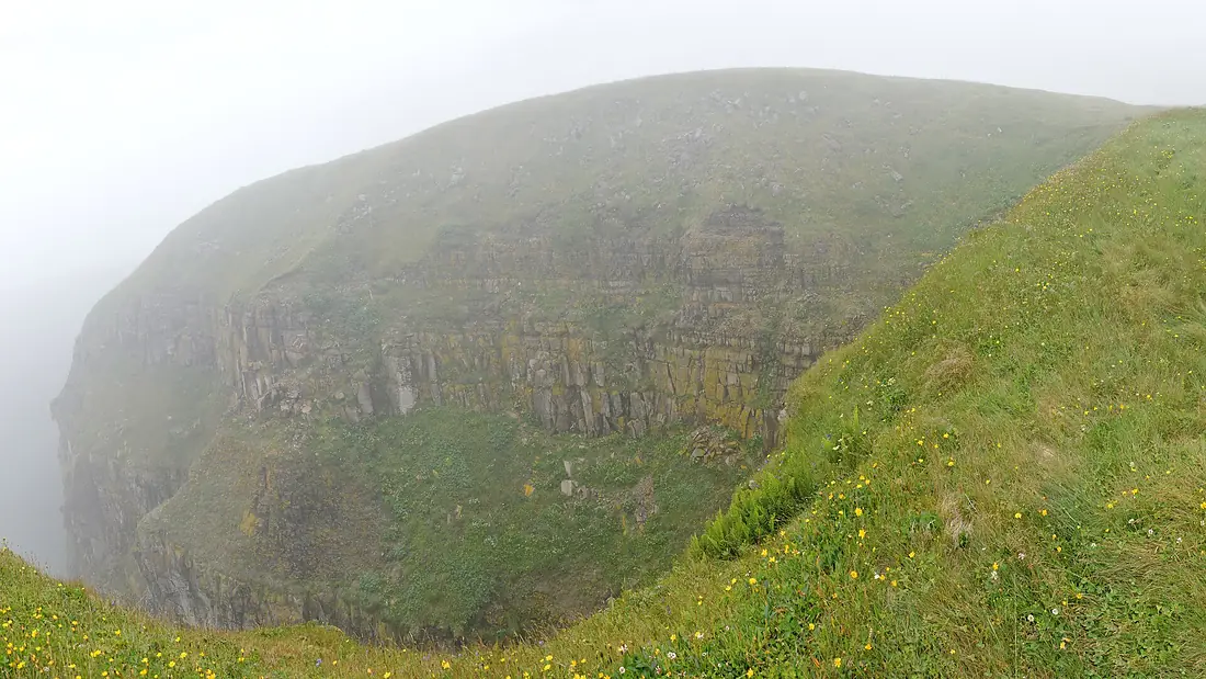Cape St. Mary's Ecological Reserve - Newfoundland 2019-08-10 (04)