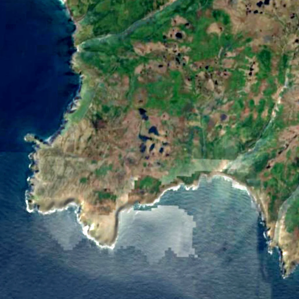 Cape St. Mary's Ecological Reserve seen from above (Sentinel-2)