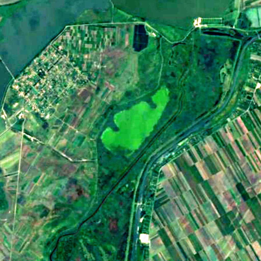 Carska Bara seen from above (Sentinel-2)