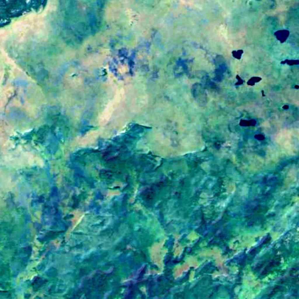 Čepkeliai Marsh seen from above (Sentinel-2)
