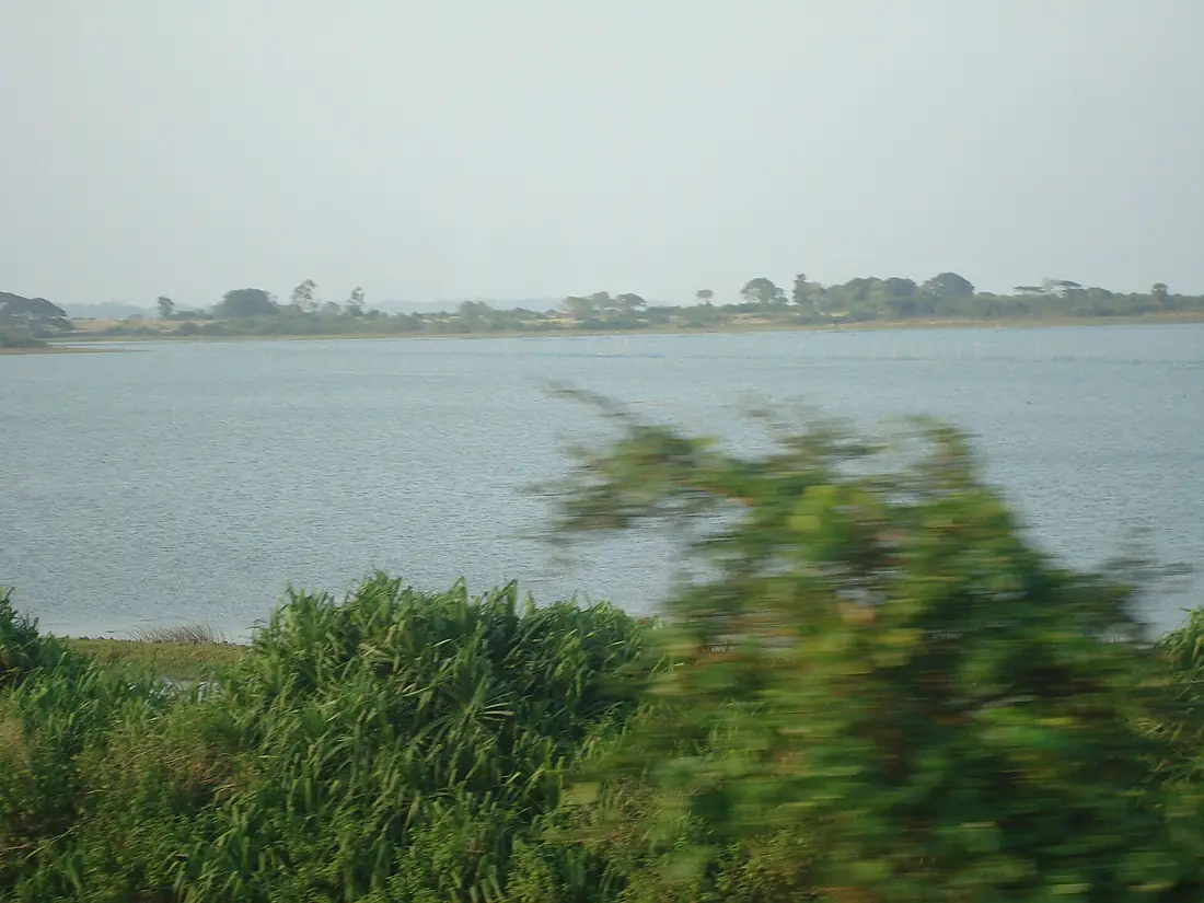 Chilika Lake 15