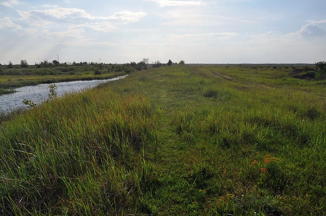 46-258-5001 Cholhynskyi Reserve RB