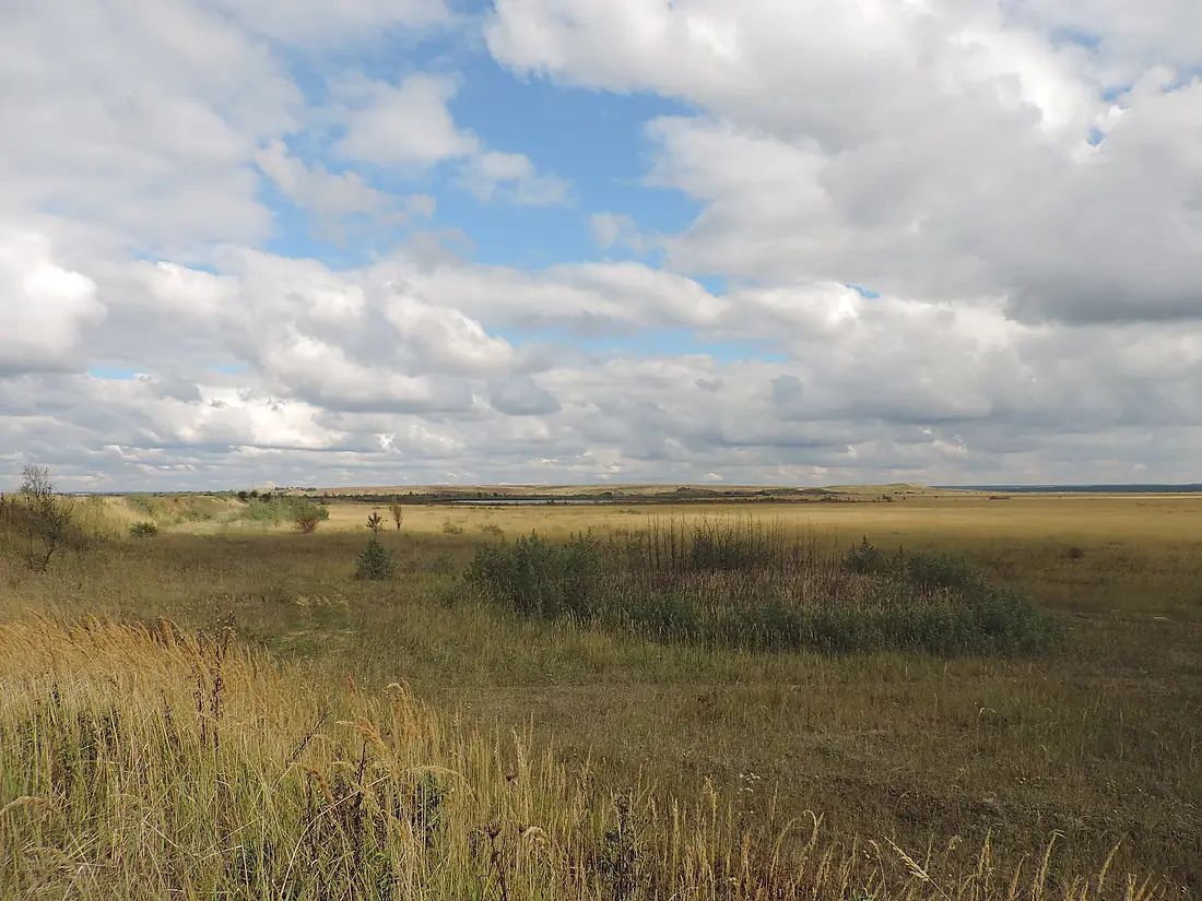 Орнітологічний заказник Чолгинський