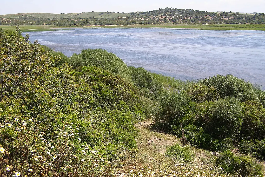 Laguna de Jeli