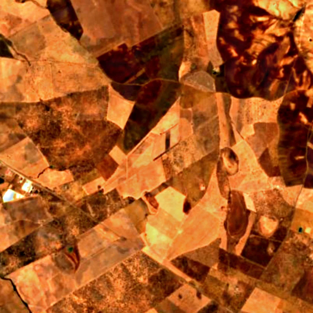 Complejo lagunar de La Albuera seen from above (Sentinel-2)