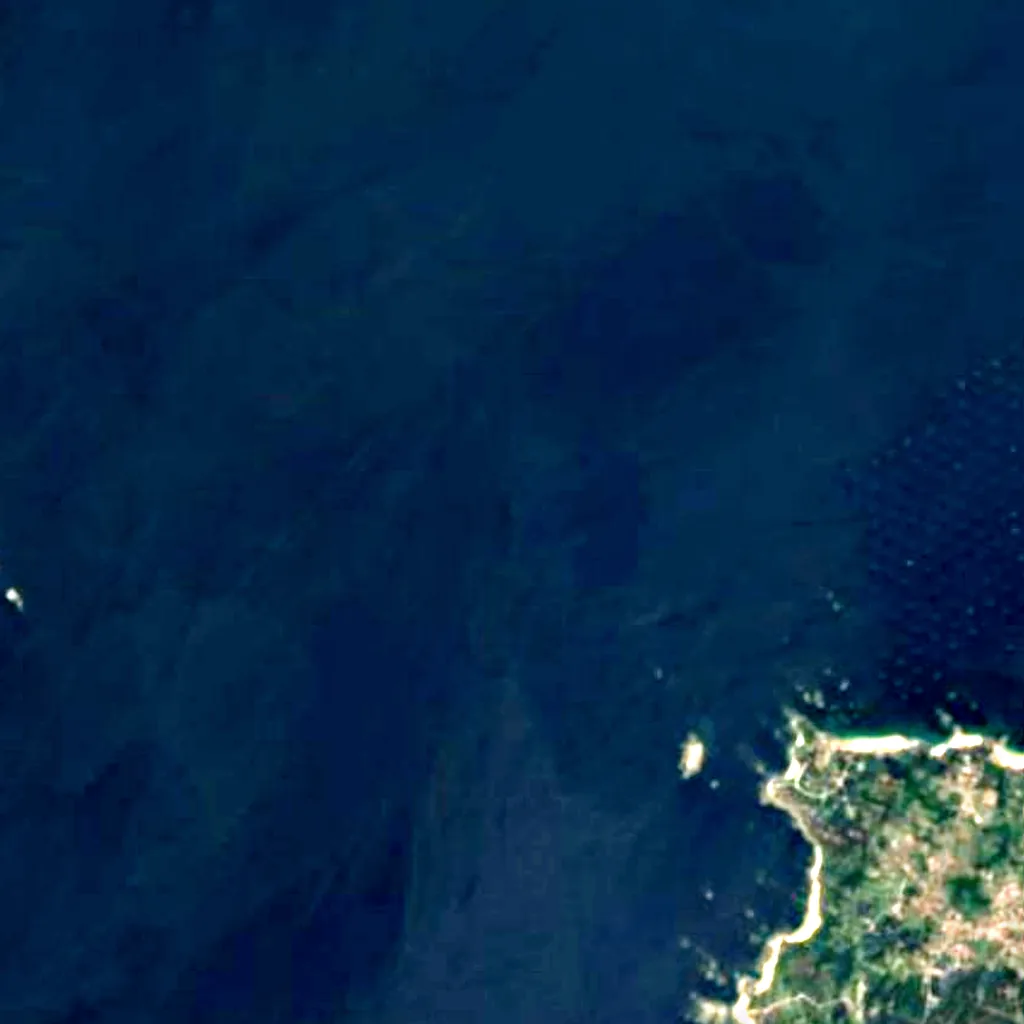 Complexo Intermareal Umia-O Grove seen from above (Sentinel-2)