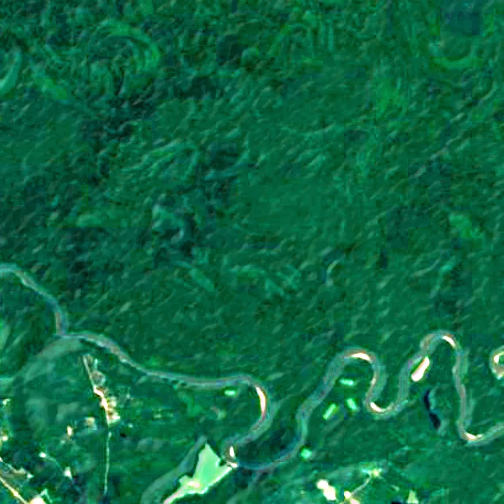 Congaree National Park seen from above (Sentinel-2)