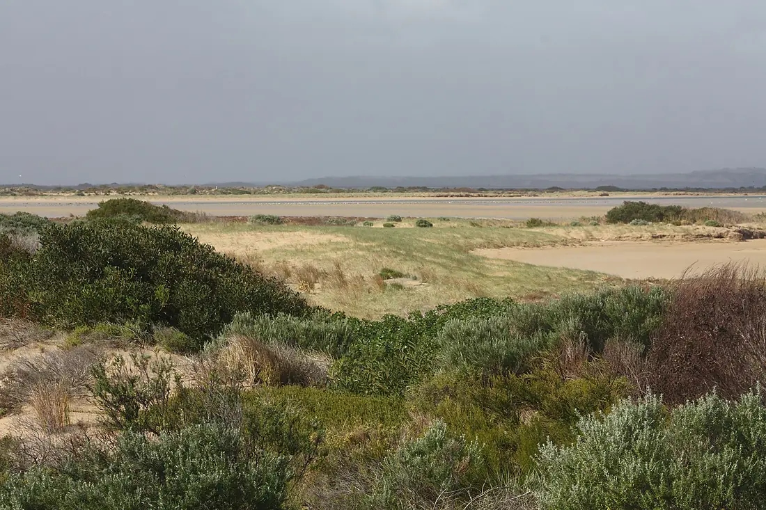 Looking up the Coorong from the Murray mouth