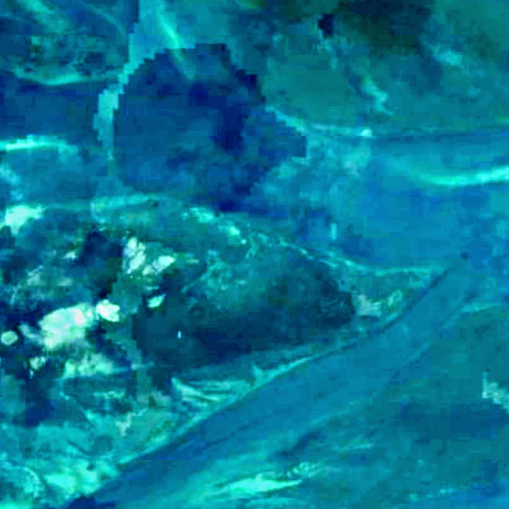 Corner Inlet seen from above (Sentinel-2)