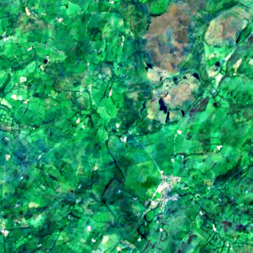 Cors Caron seen from above (Sentinel-2)