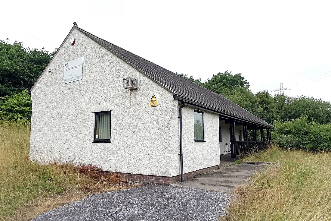 Crymlyn Bog 3