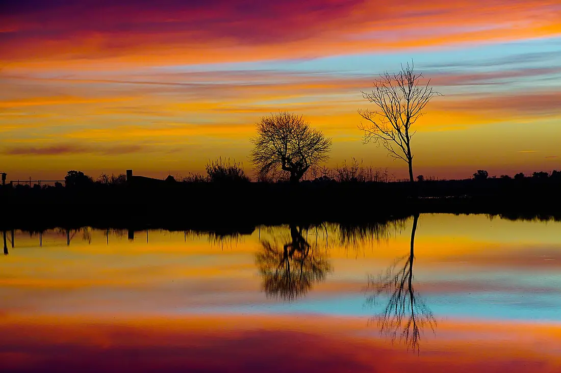 Amanecer con candilazo en los arrozales del Delta del Ebro