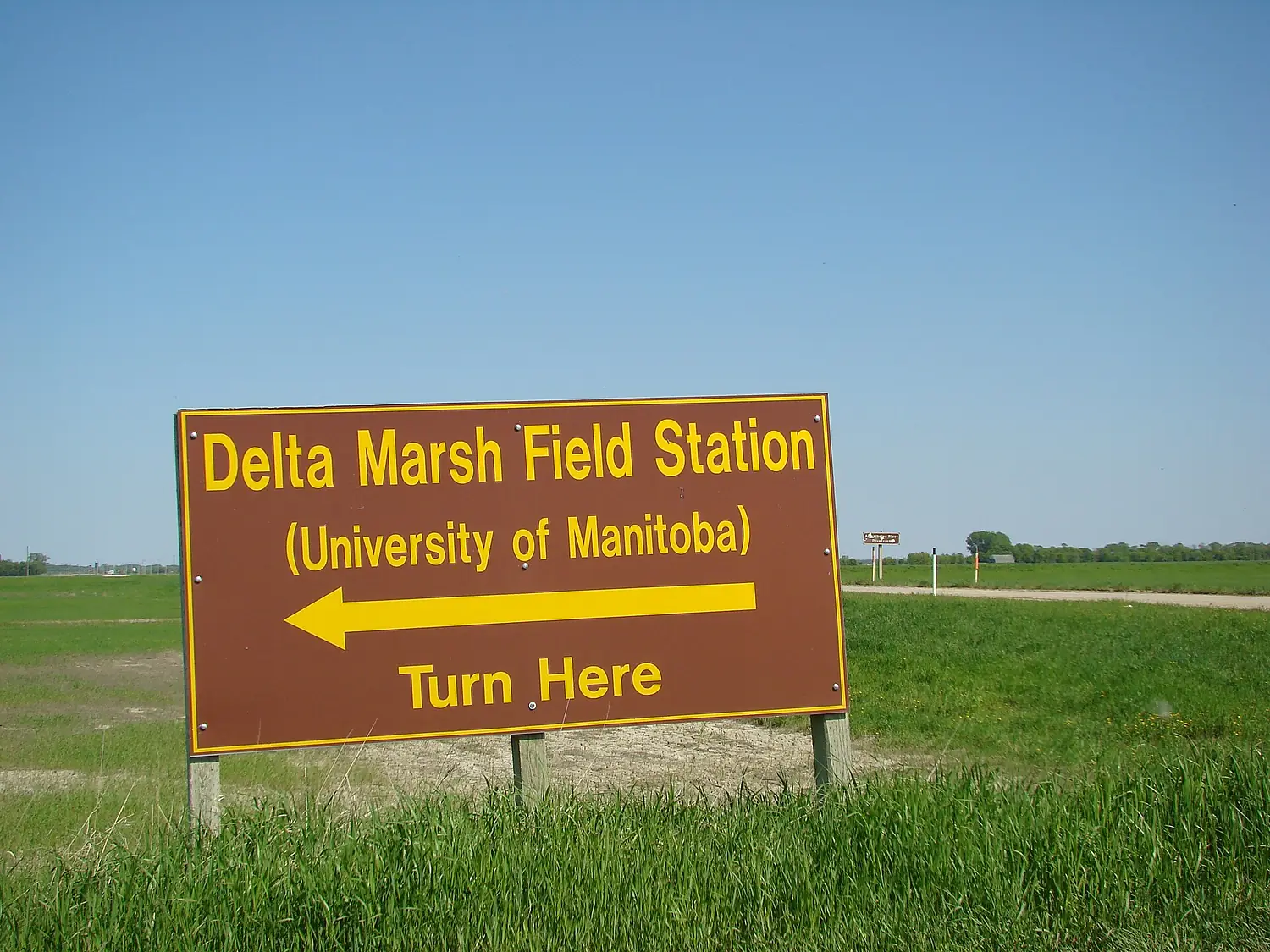 Delta Marsh Field Station Manitoba Canada