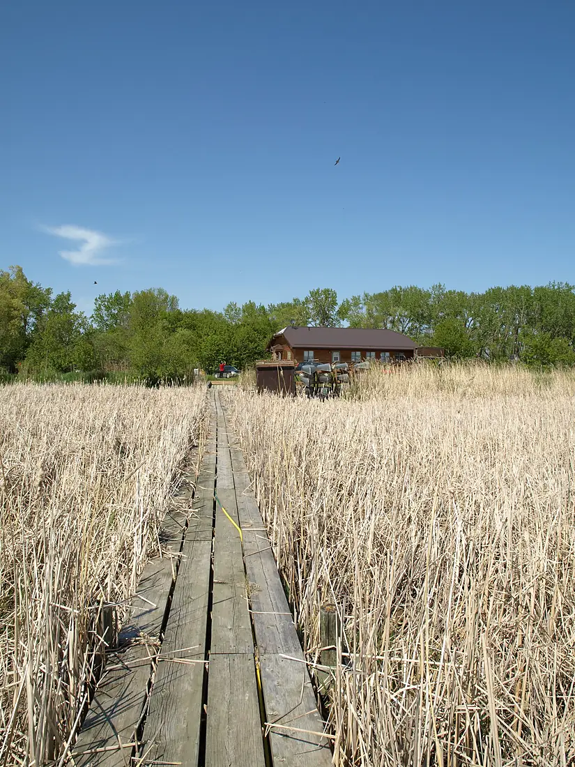 Delta Marsh Field Station Manitoba Canada (10)