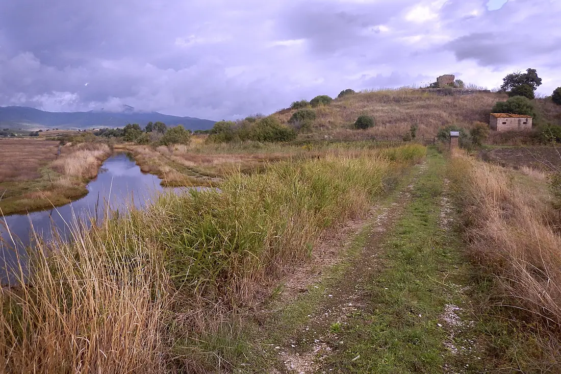 Palude Diaccia Botrona con vista sulla Badiola al fango (GR)