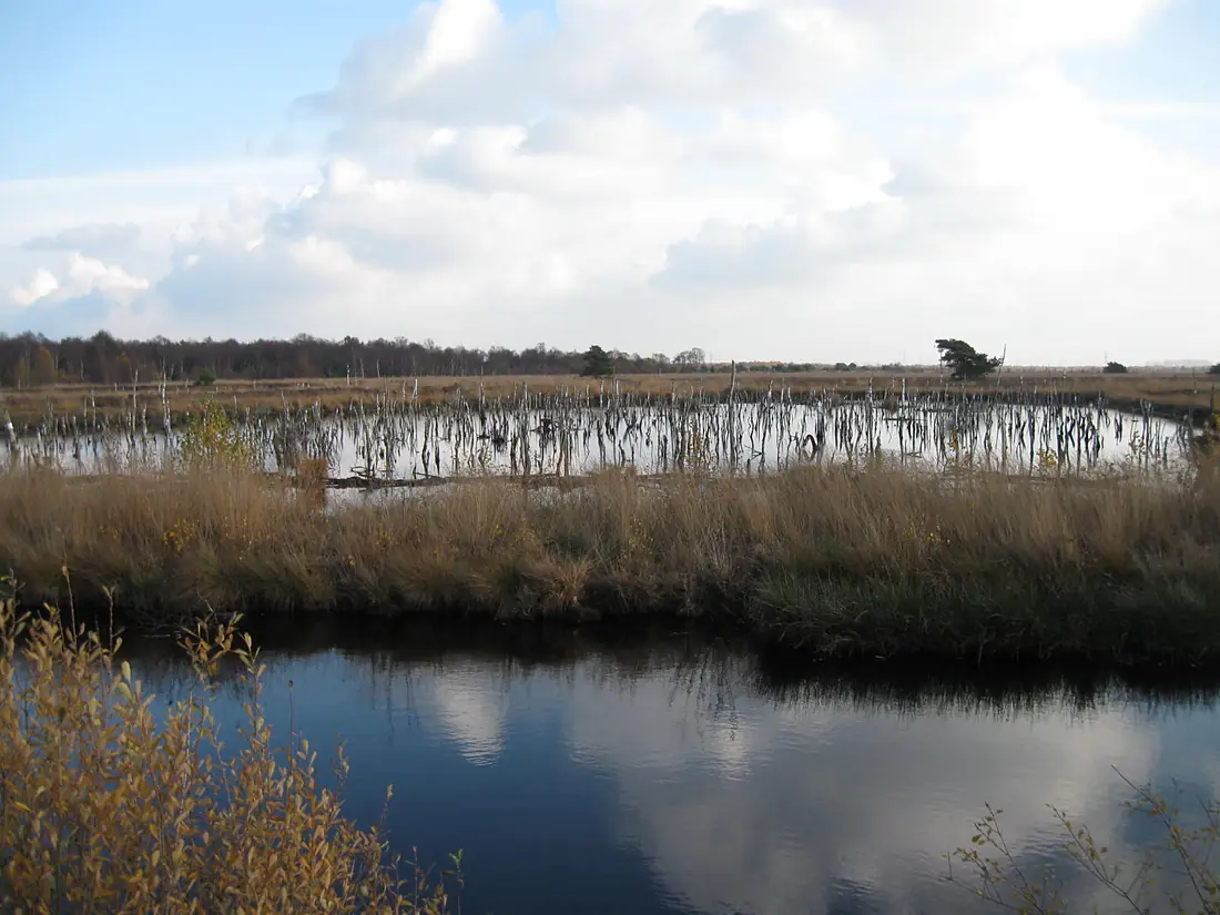Naturschutzgebiet Rehdener Geestmoor 01