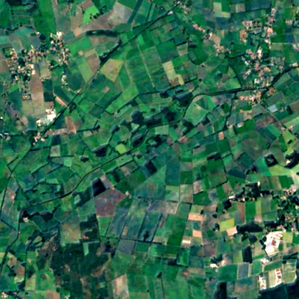 Diepholzer Moorniederung seen from above (Sentinel-2)