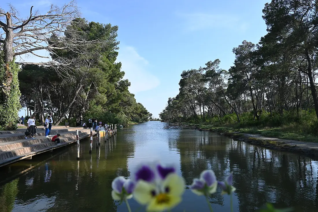 Divjaka River in summer
