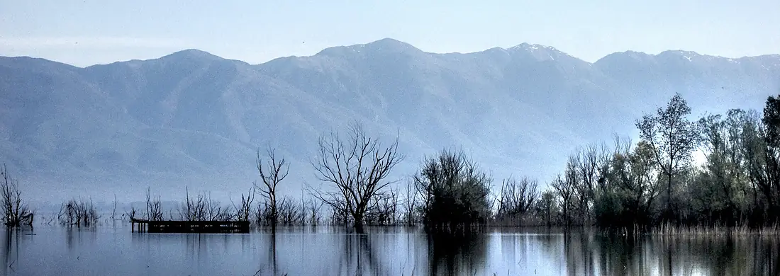 Dojran Lake 209
