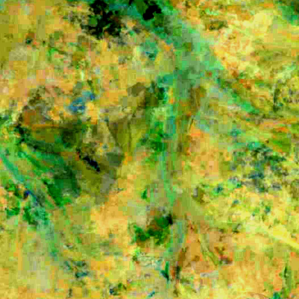 Dollart seen from above (Sentinel-2)