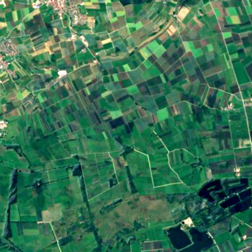 Donauried seen from above (Sentinel-2)