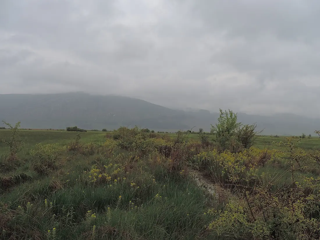 Dragoman marsh 29-04-2016