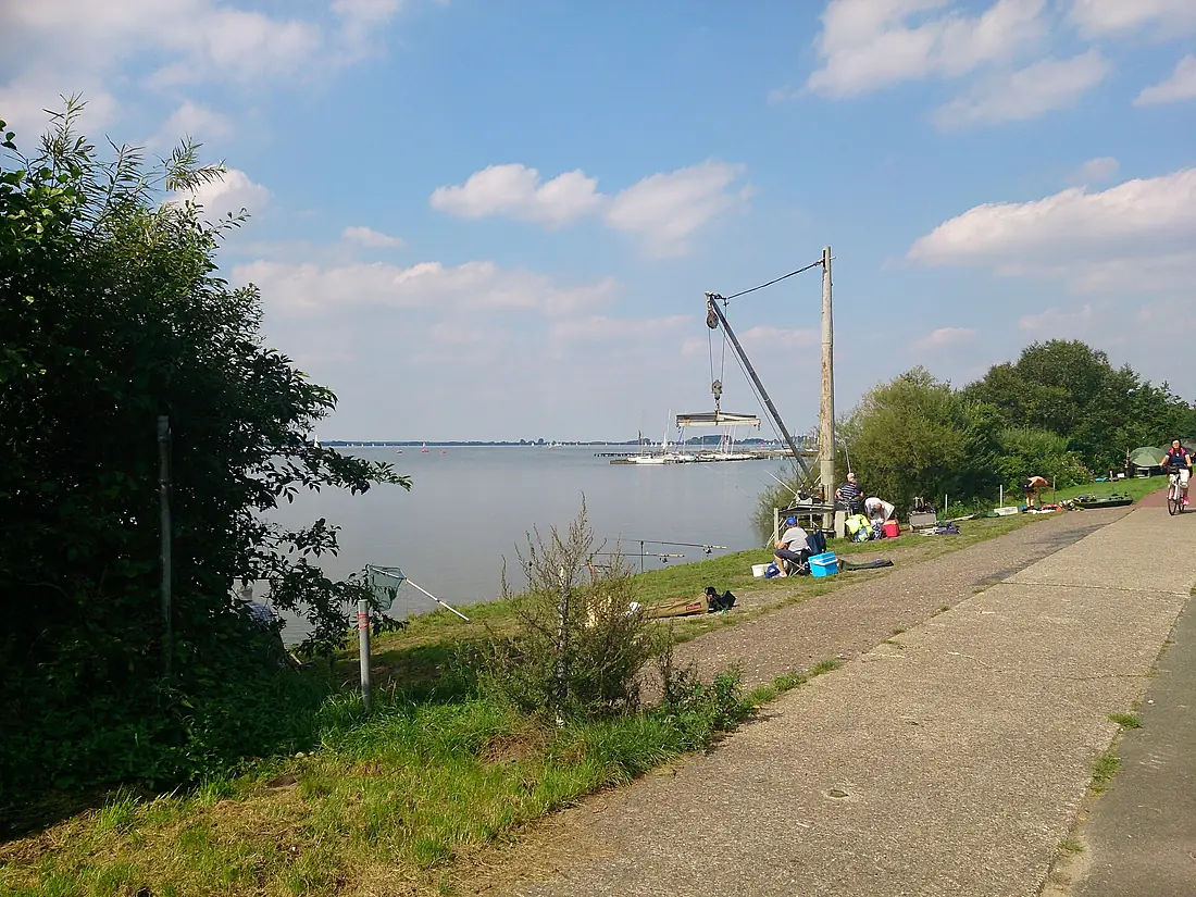 Am Dümmer See - panoramio