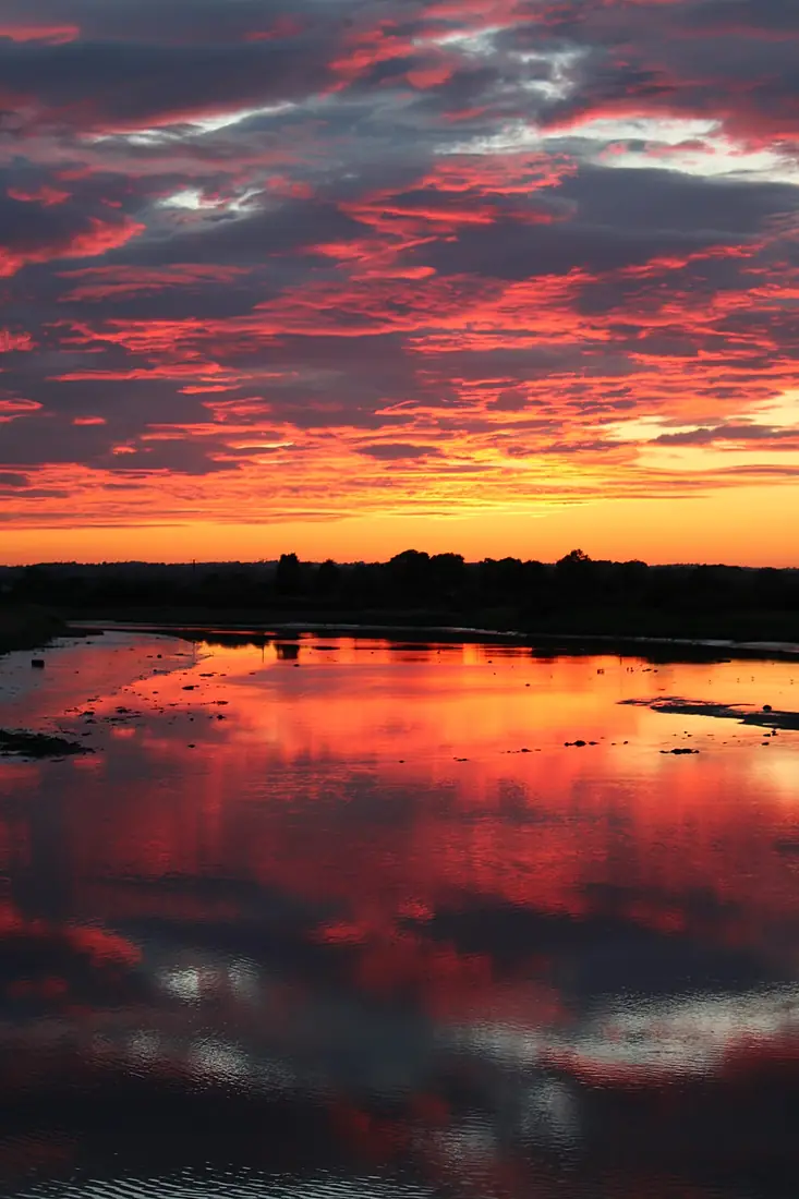 Dundalk Bay (View of Castletown River, flowing into the bay) 01